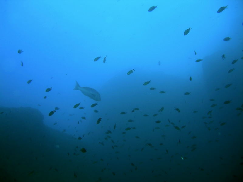 DSCN1121