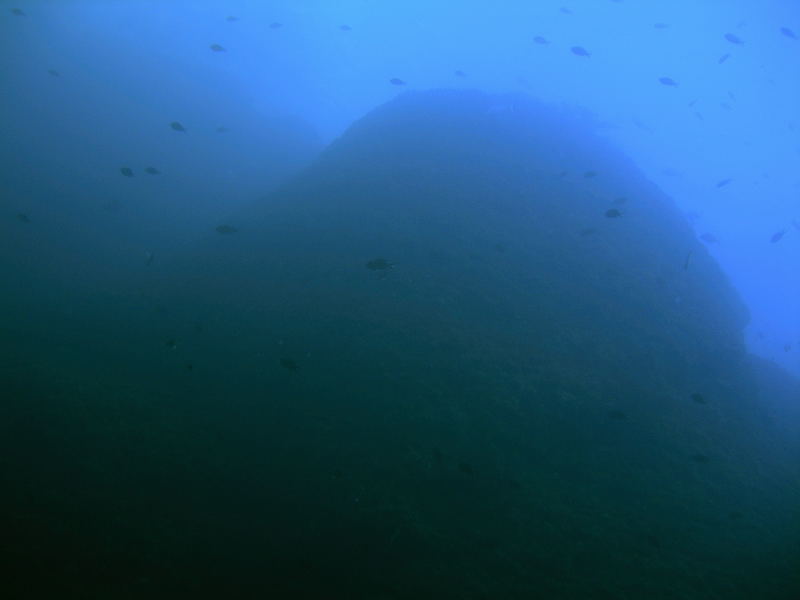 DSCN1124