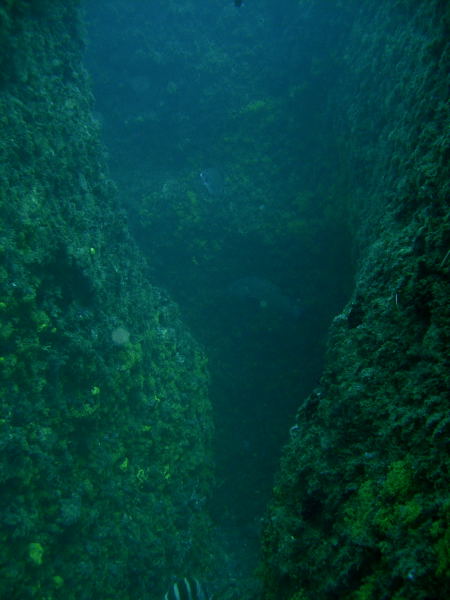 DSCN1142