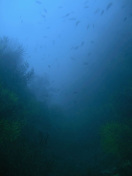 DSCN1178