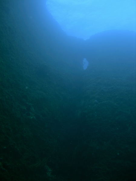 DSCN1268