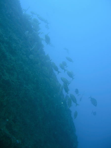 DSCN1284