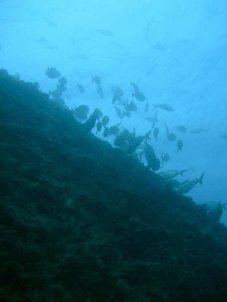 DSCN1285