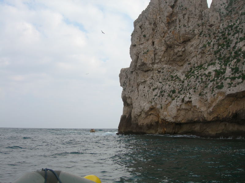 DSCN1337
