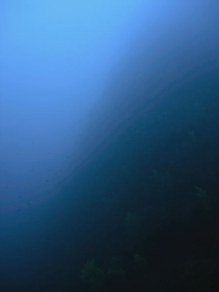 DSCN1358
