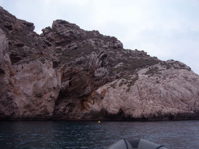DSCN1375