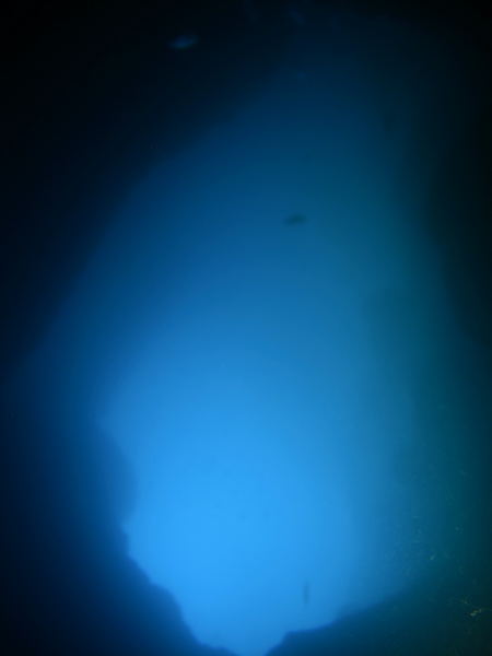 DSCN1380