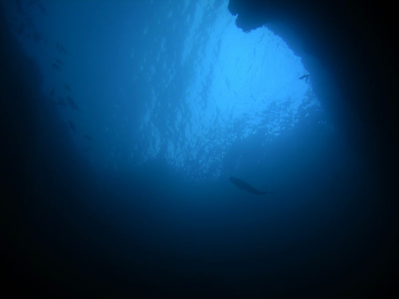 DSCN1417