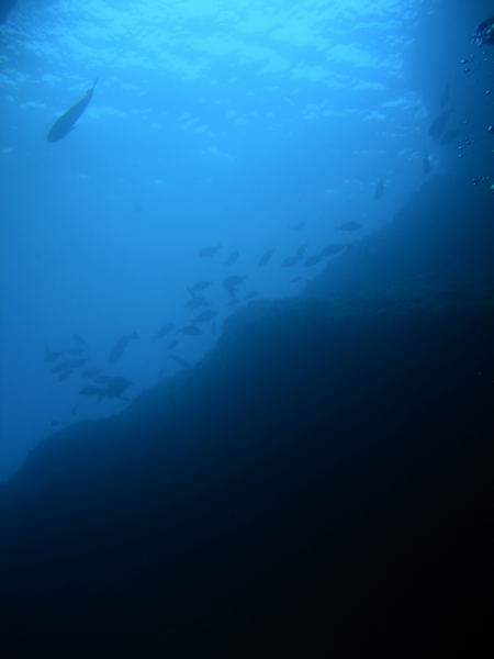 DSCN1419