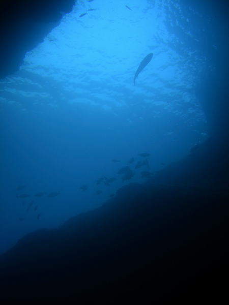 DSCN1420