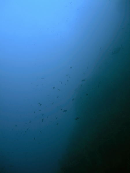 DSCN1459