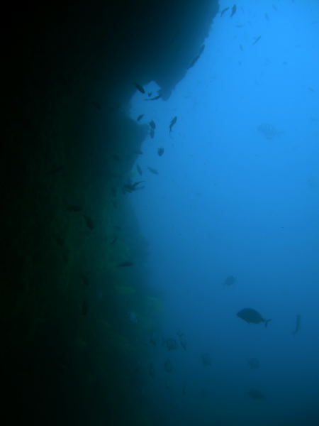 DSCN1469