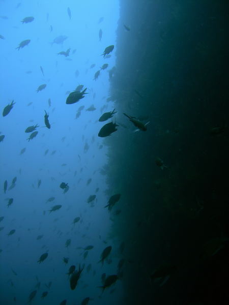 DSCN1473