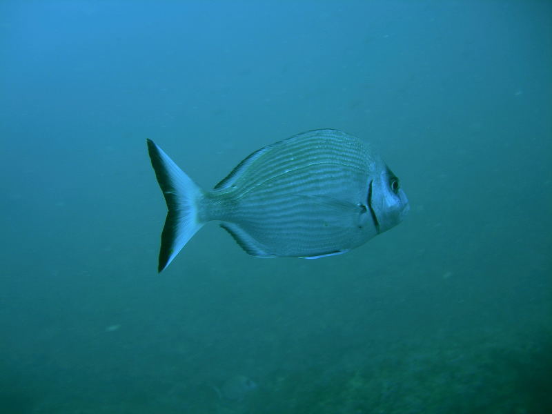 DSCN1479