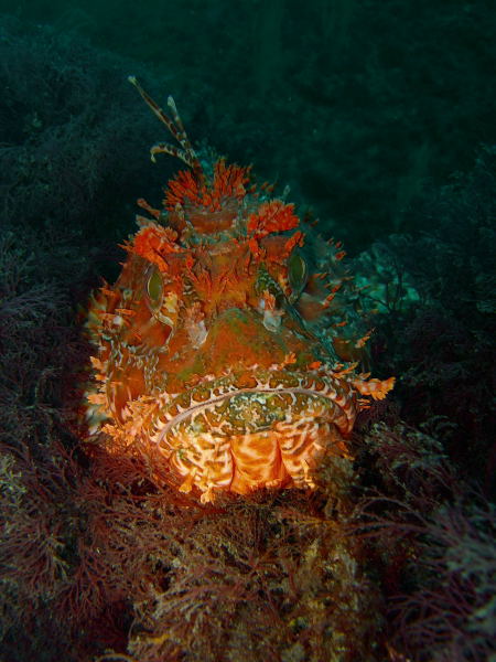 DSCN1493