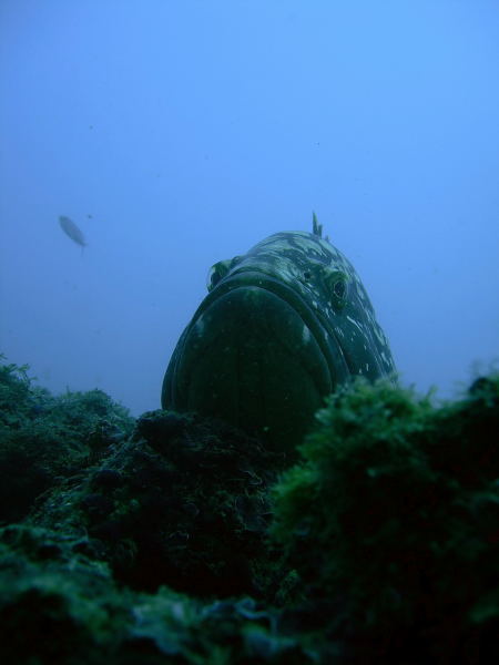 DSCN1671