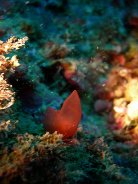 DSCN1675