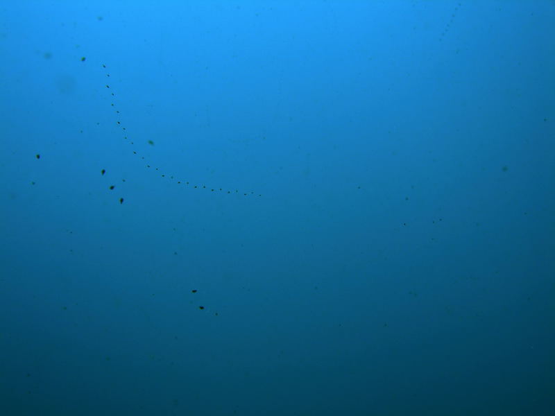 DSCN1678