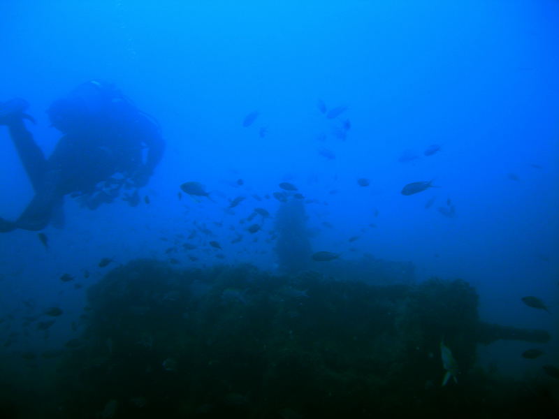 DSCN2553