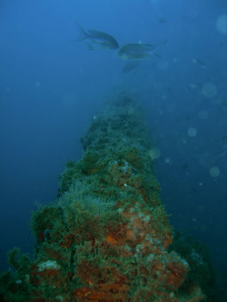 DSCN2555