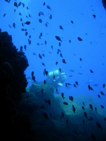 DSCN2588