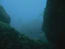 DSCN1123