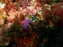 DSCN1140