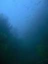 DSCN1178
