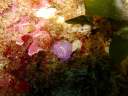 DSCN1276