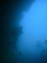 DSCN1310