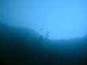 DSCN1312