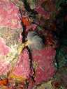 DSCN1340