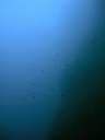 DSCN1459