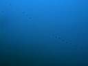 DSCN1677
