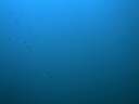 DSCN1678