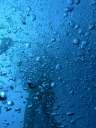 DSCN2560
