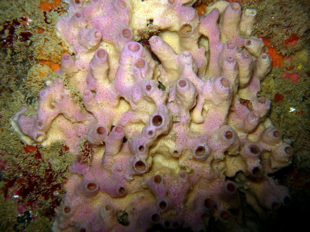 DSCN1921