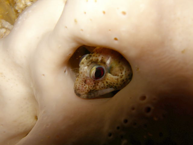 DSCN1925