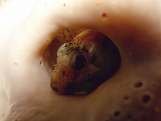 DSCN1927