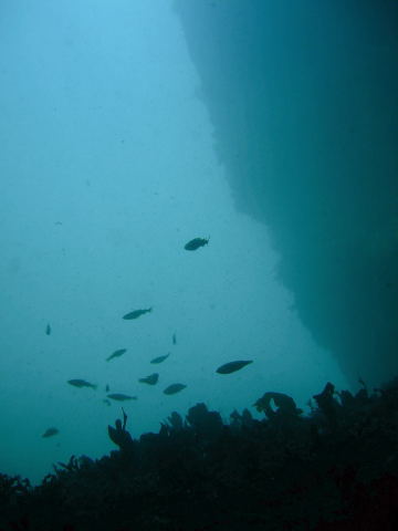 DSCN1954