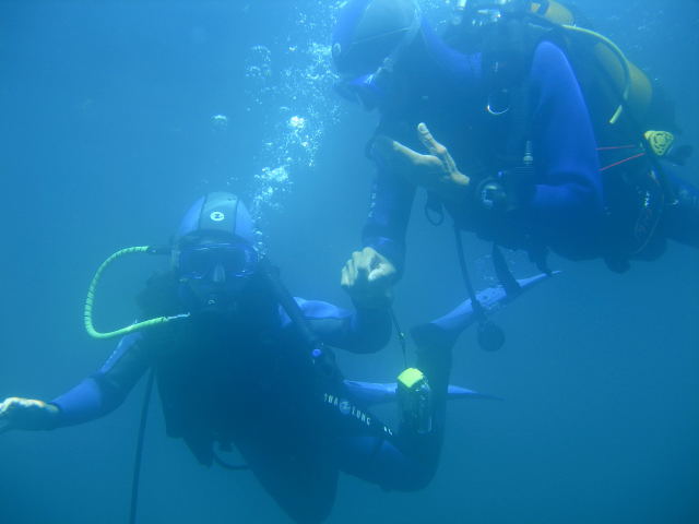 DSCN1988