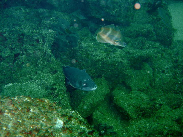 DSCN2001