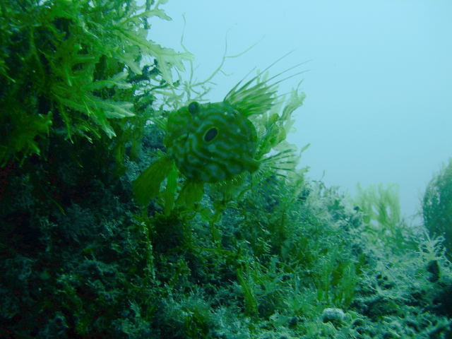 DSCN2033