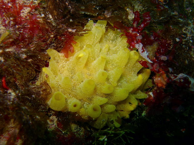 DSCN2246