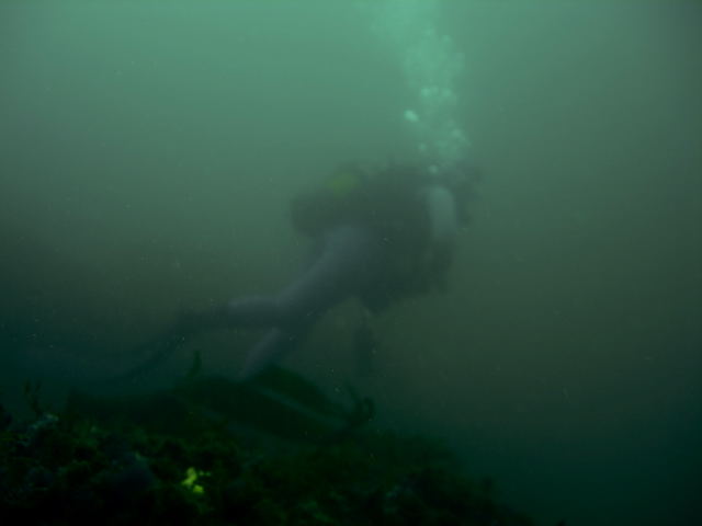 DSCN2247