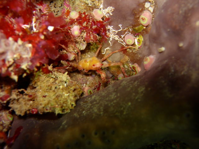 DSCN2261