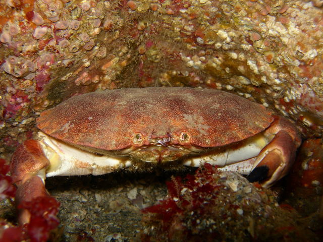 DSCN2277