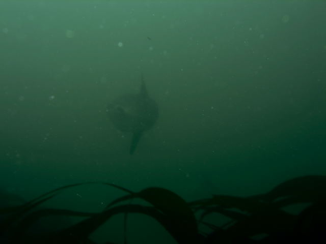 DSCN2317