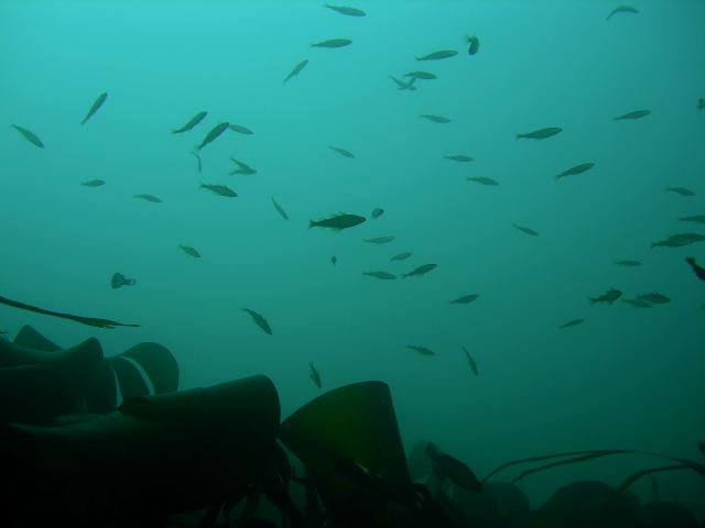 DSCN2318