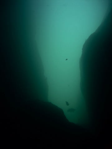 DSCN2340